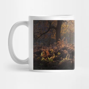 Bracken Lit by Morning Light, Richmond Park Mug